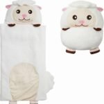 Character Preschool Nap Mat, Toddler Sleeping Bag with Pillow for Daycare, Ages 3+